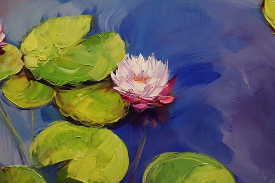 "Pond with water lilies"