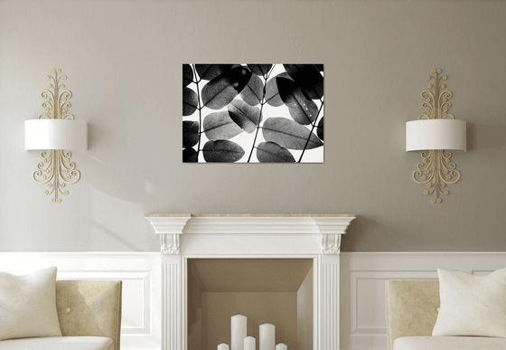 Experiments with Leaves II | Limited Edition Fine Art Print 1 of 10 | 90 x 60 cm