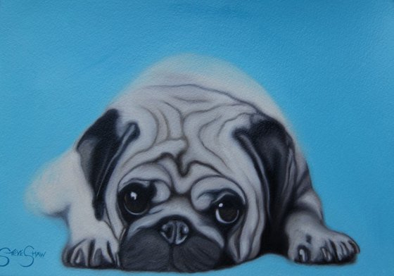 Pug Love ( oil on paper )