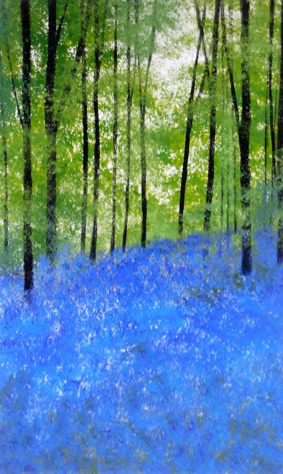 Bluebell Woods, South Warnborough, Hampshire