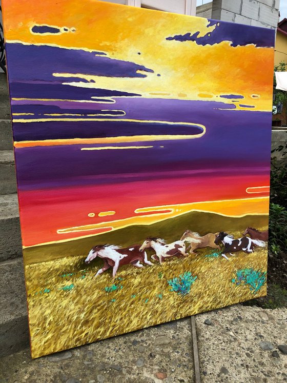 Horses. Sunset