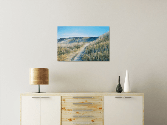 A Summer Sea Cliff Path
