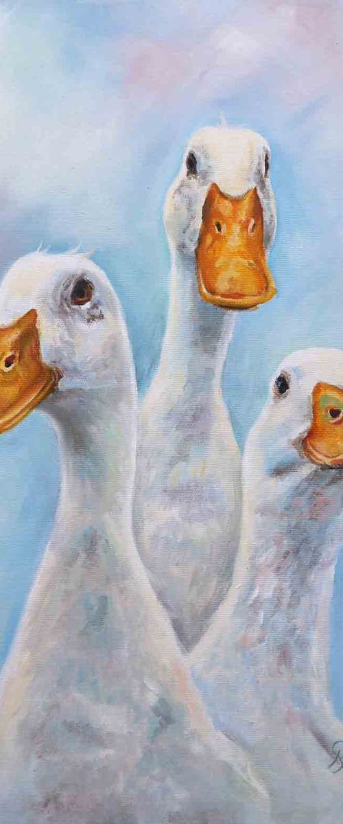 Duck Trio by Ruth  Aslett