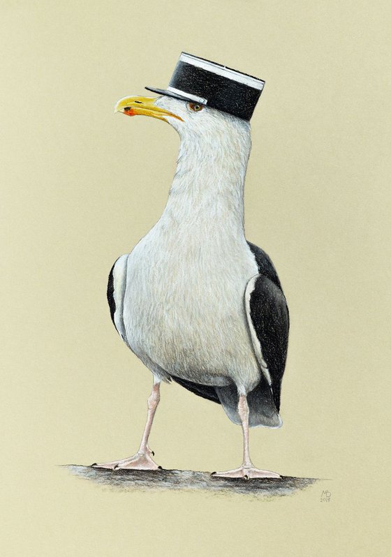 Original pastel drawing bird "Great black-backed gull"