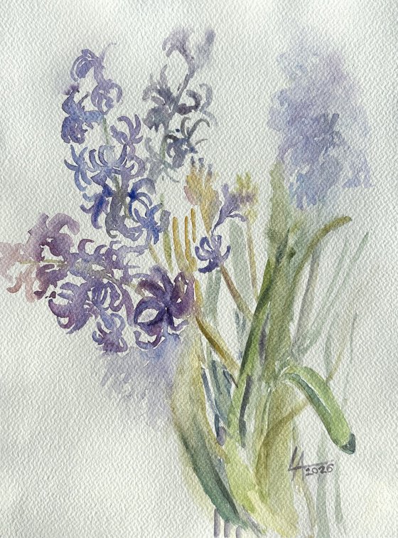 Hyacinths. Spring Awakening.