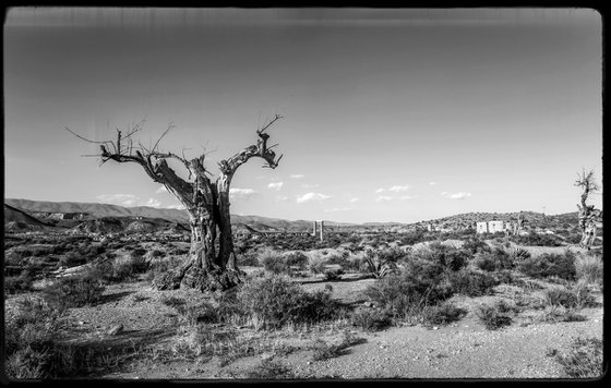 Paysage désertique (Piezography)