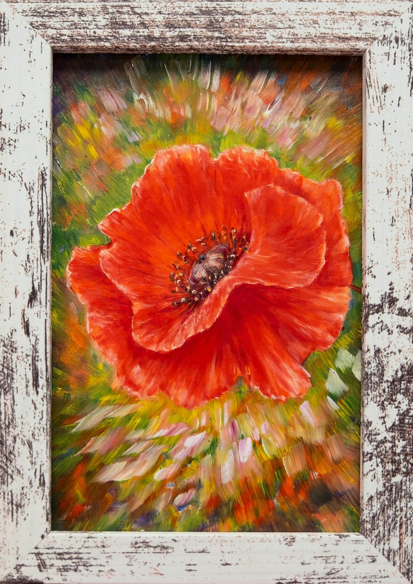Impressionistic Botanical Oil Painting By Anastasia Woron, 6 X 7, Radiant Poppy., Original Artwork