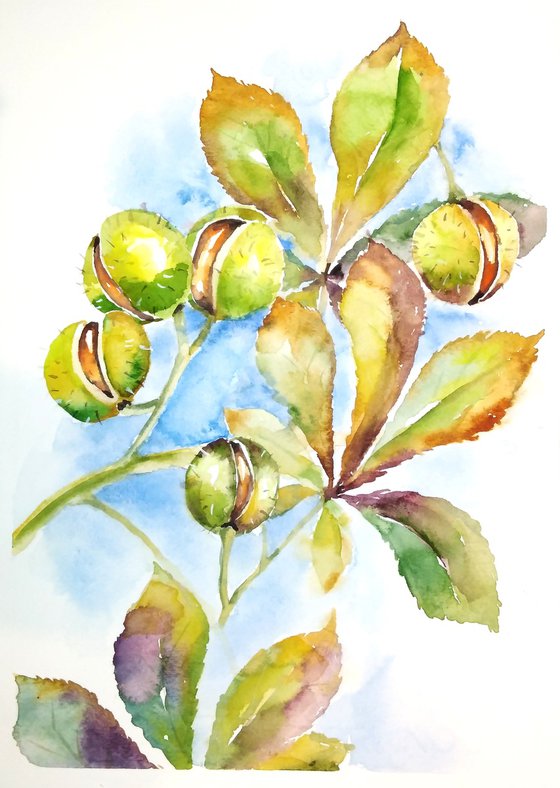 Chestnut leaves, branches, watercolor illustration