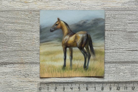 Akhal-Teke. Miniature. Original pastel drawing