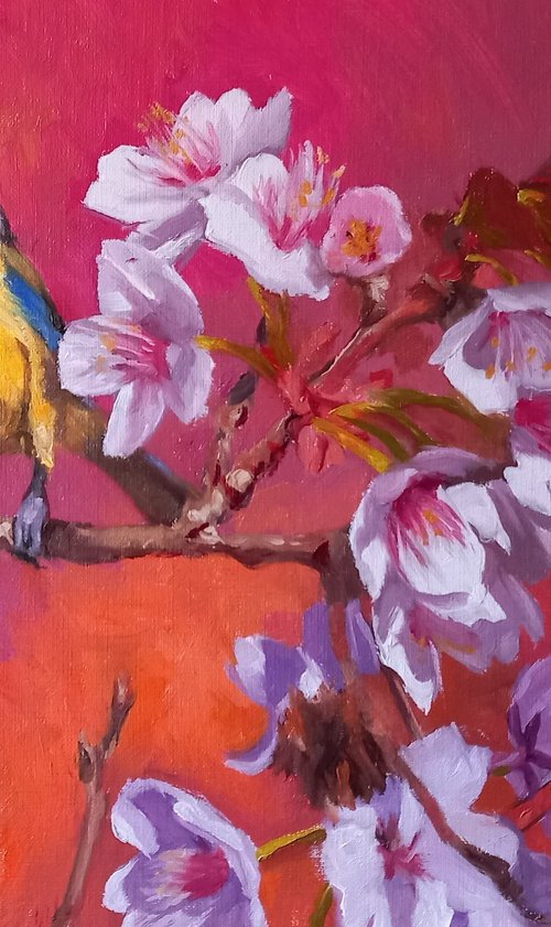 Lookout from the bloom by Steffan Johnson