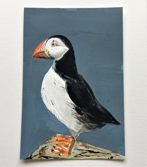 Standing Puffin #2