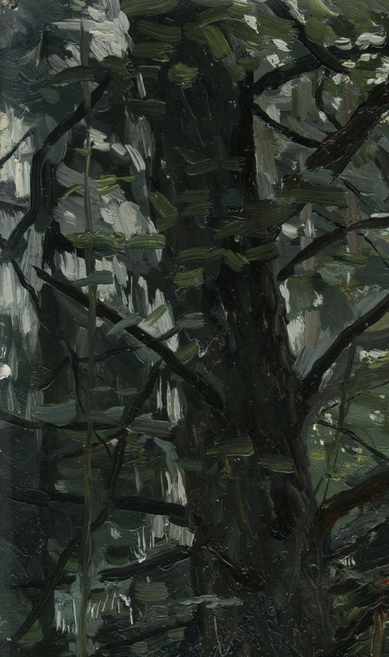 Forest. Fir-tree. Karmanovo