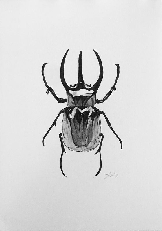 Black Beetle