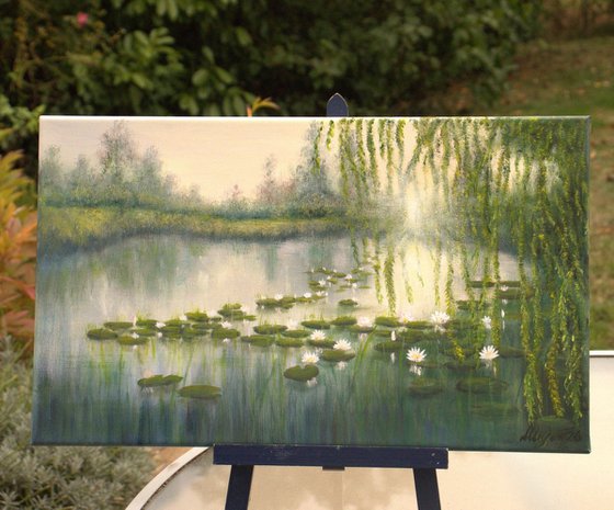 Lily pond