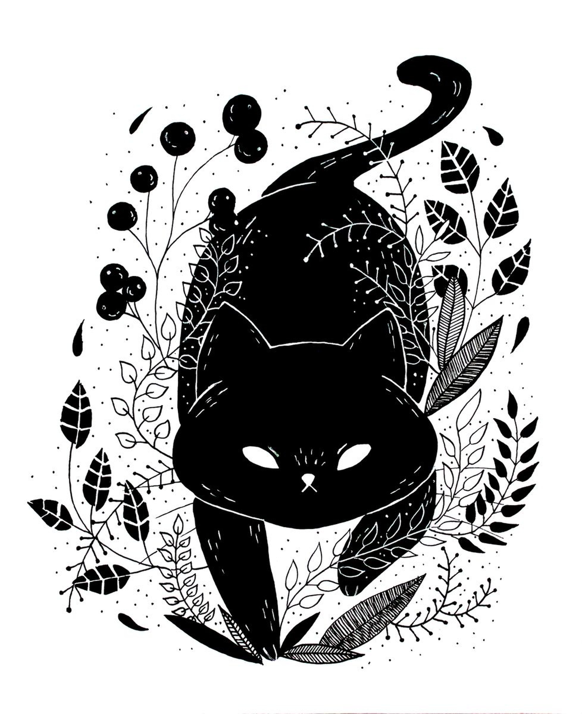 Dark Cat 2019 Ink Drawing By Irina Poleshchuk Artfinder