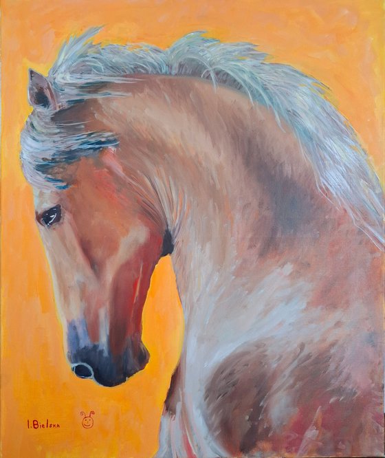 Of course my horse