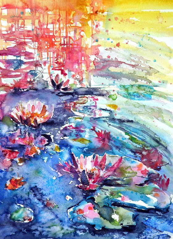 Waterlily