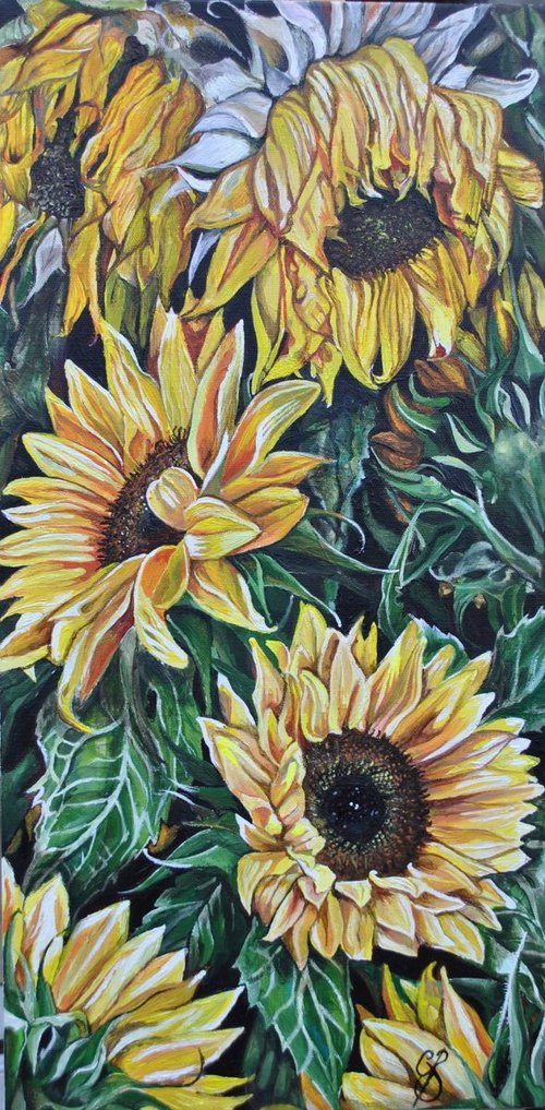 Sunflowers  by Ceri Baker