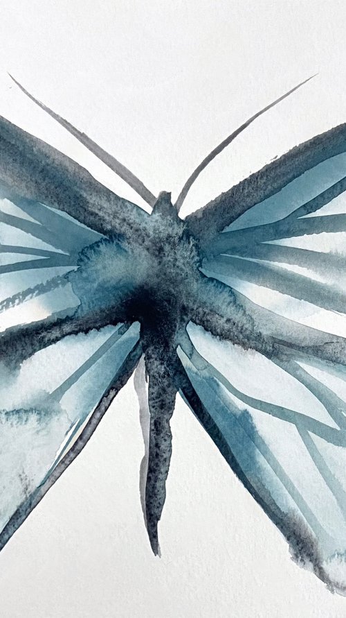 Butterfly Study No. 3 by Elizabeth Becker