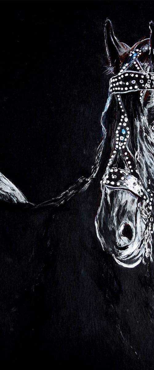 On black / Horse Head Equine Art  Modern Contemporary Wall Art Home Decor  by Anna Sidi by Anna Sidi-Yacoub