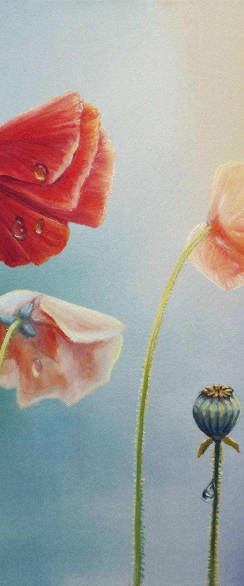Poppies after the rain by Oleg Riabchuk