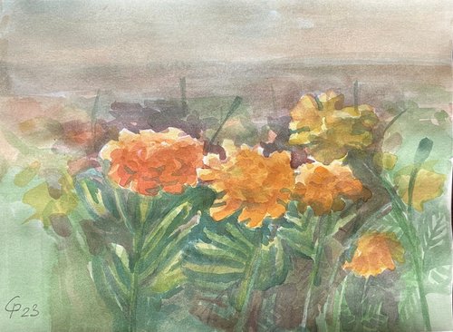 Marigolds flowers, artwork from Ukraine by Roman Sergienko