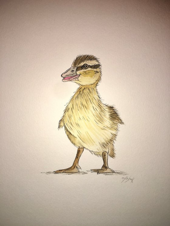 Duckling painting