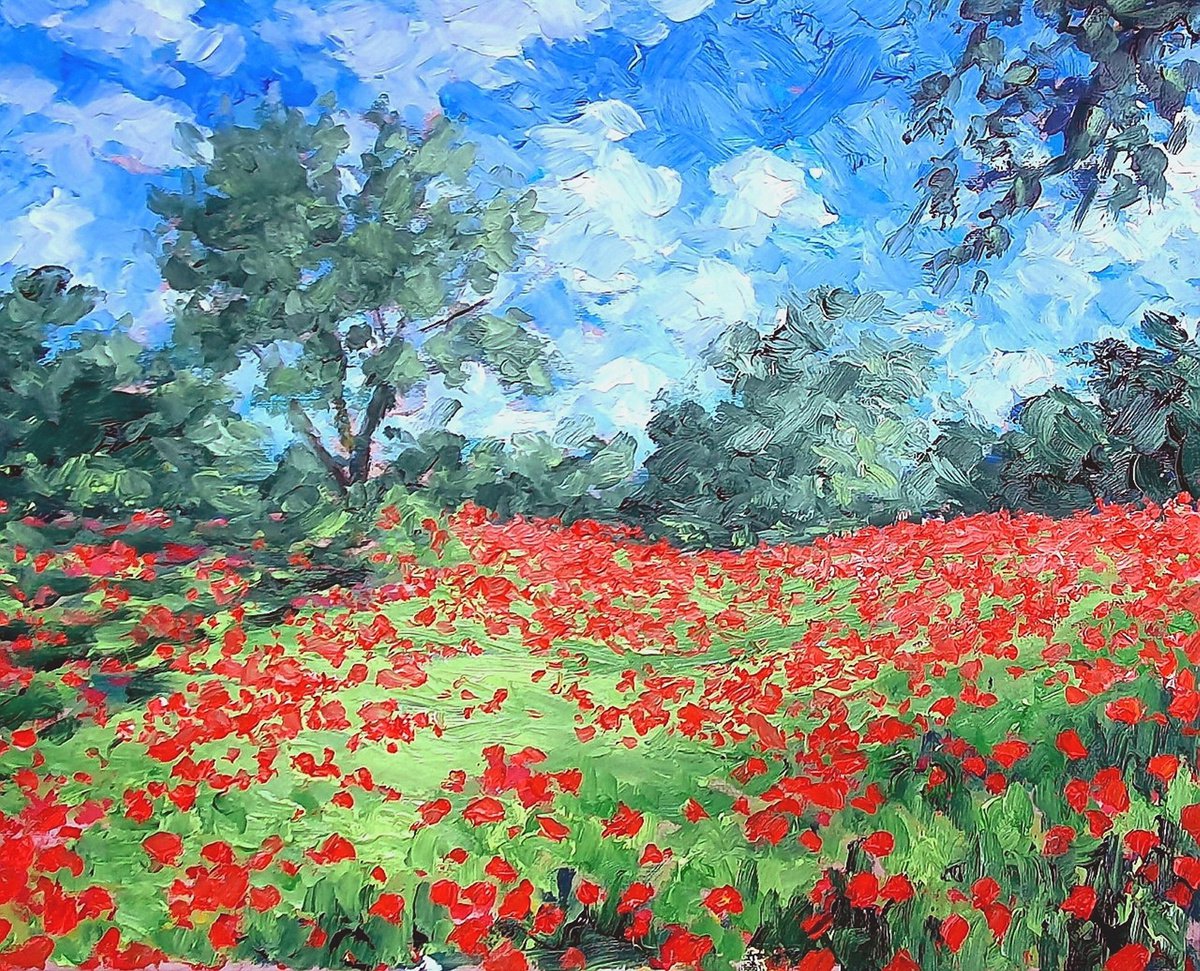 poppy field 4 by Colin Ross Jack