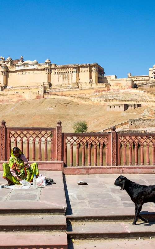 Amer Fort - Signed Limited Edition by Serge Horta