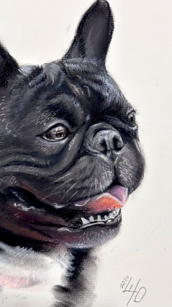 Black French Bulldog - Unique Dog Lover Gift