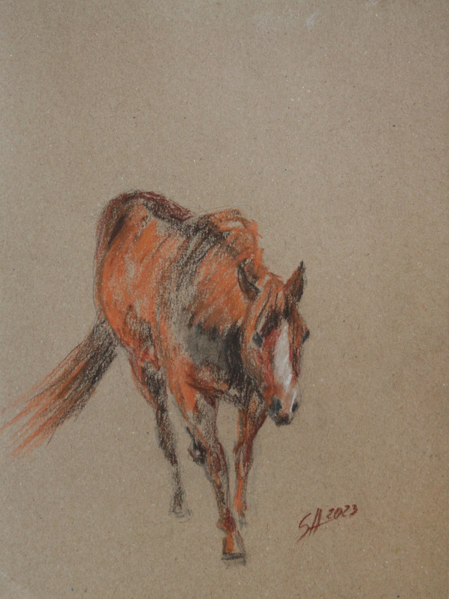 Impressionistic Animal Drawing By Salana Art / Svetlana Samovarova, 8 X 11", Horse, Original Artwork