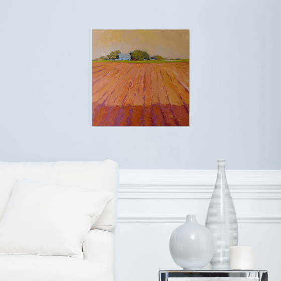 Midwest. Farmland in Evening