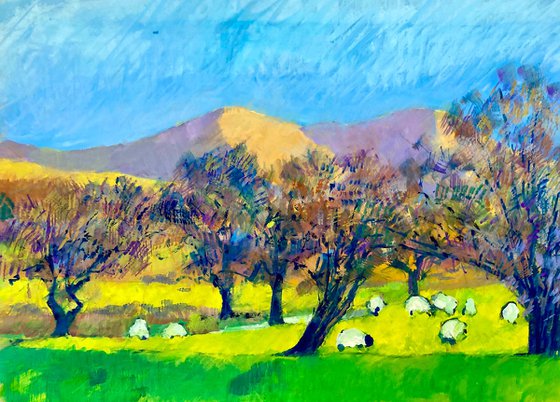Sheep under trees