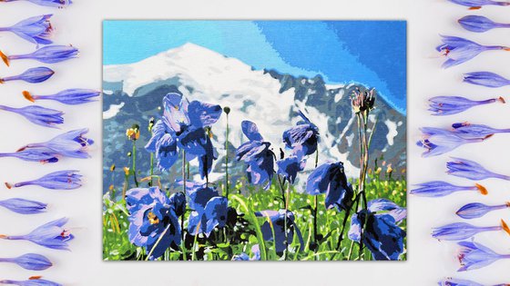 Lilac bellflowers in mountains