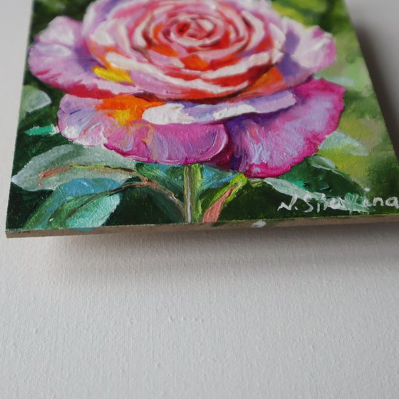 Peony and Rose Miniature Set