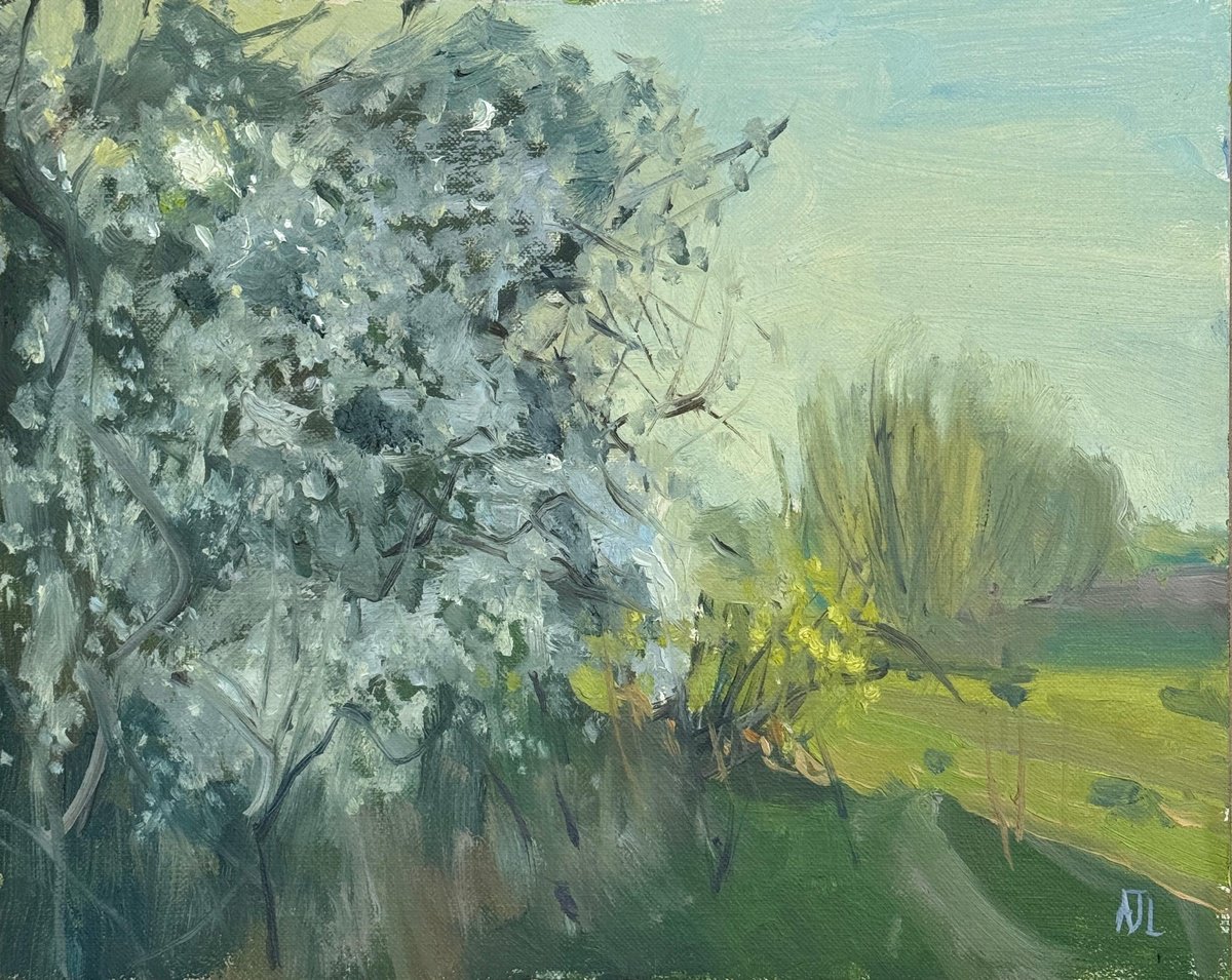 Impressionistic Botanical Oil Painting By Alex James Long, 12 X 9, Hawthorn Blossoms, Evening, Original Artwork