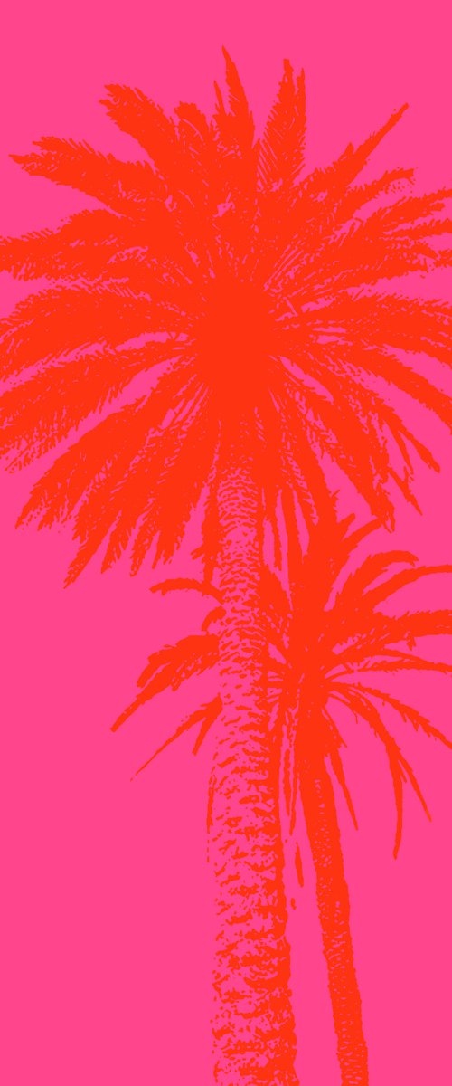 Palm tree_1 by Kosta Morr