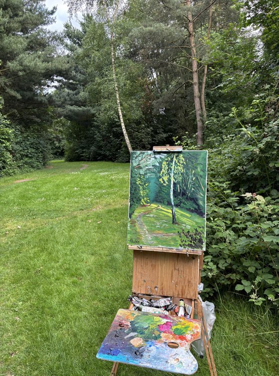 Evening Light on the Birch Tree
