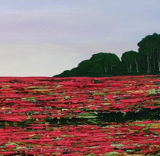 Poppy Fields and Faraway Sky
