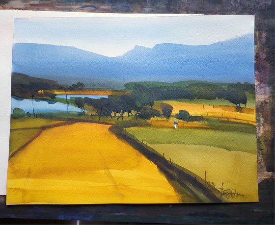 Indian yellow, summer light 2