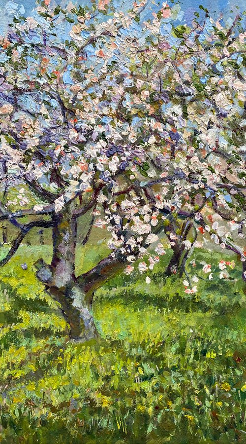 Blossoming Apple Tree in My Garden by Zurab Sharvadze