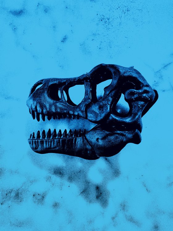 ABC#207 T-Rex #3