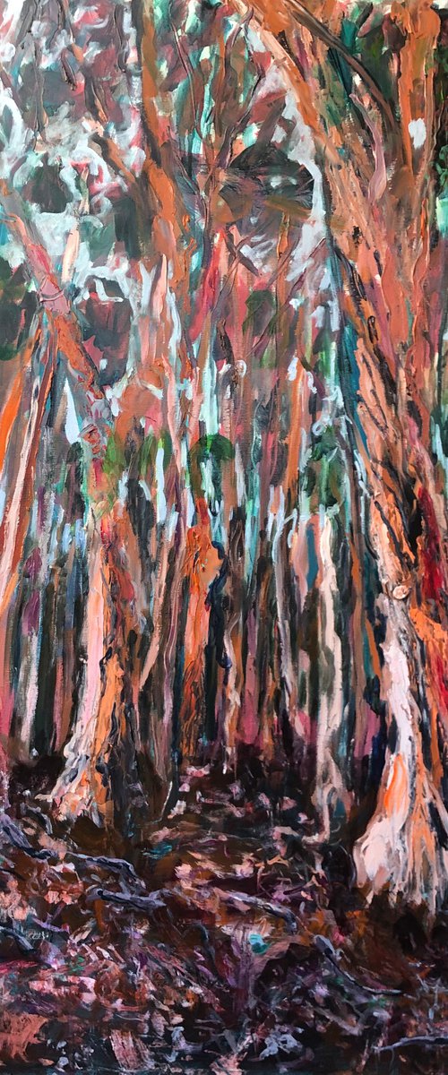 EUCALYPTUS FOREST by Maureen Finck