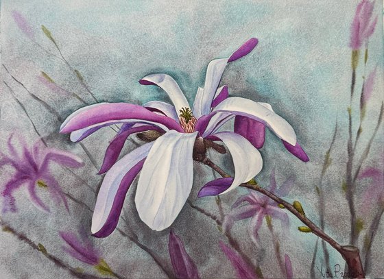 Magnolia watercolor flowers №1