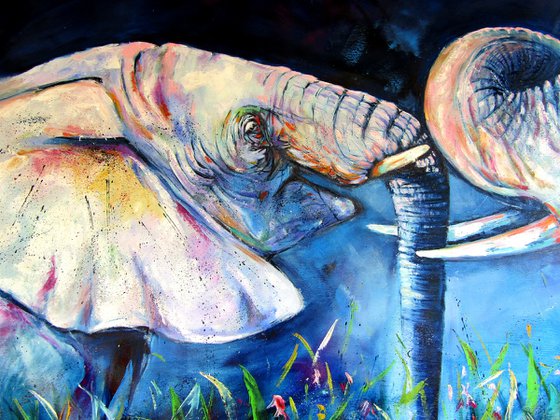 Elephant meeting