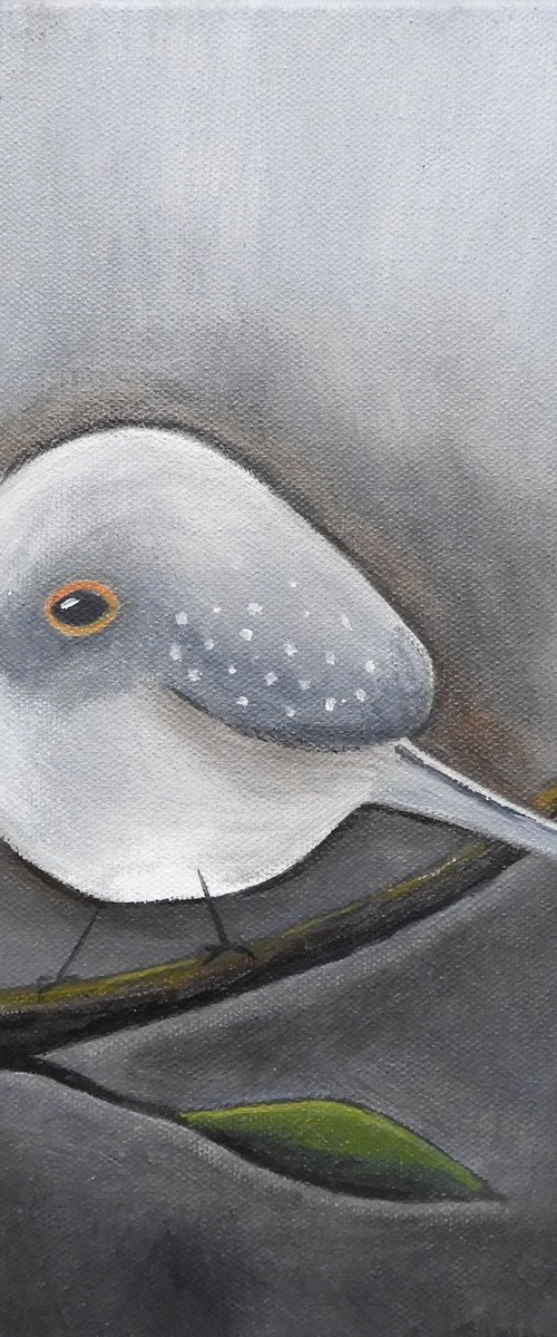 The Diamond Dove by Silvia Beneforti