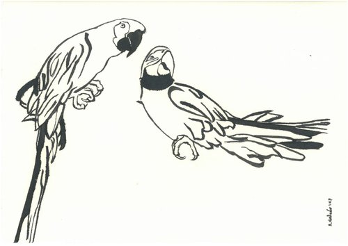 Parrots I Animal Drawing by Ricardo Machado
