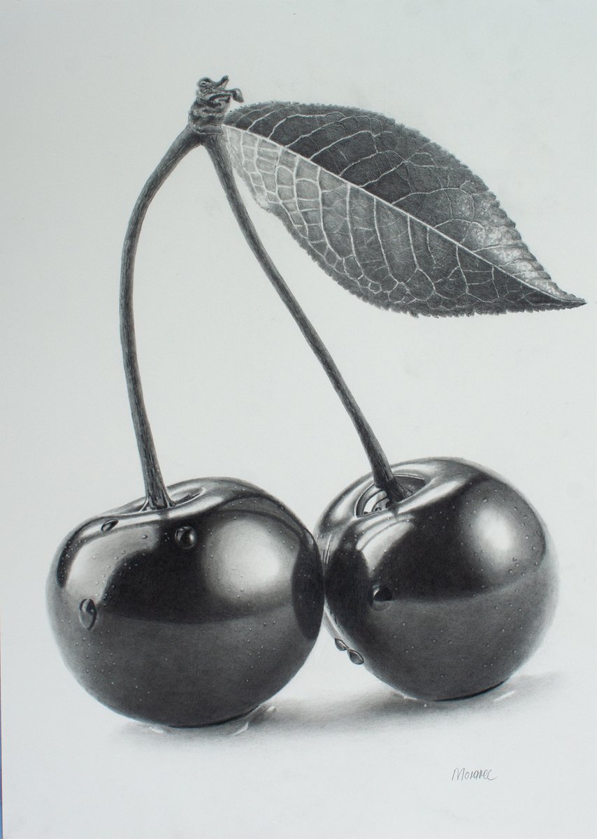Cherry Connection by Dietrich Moravec