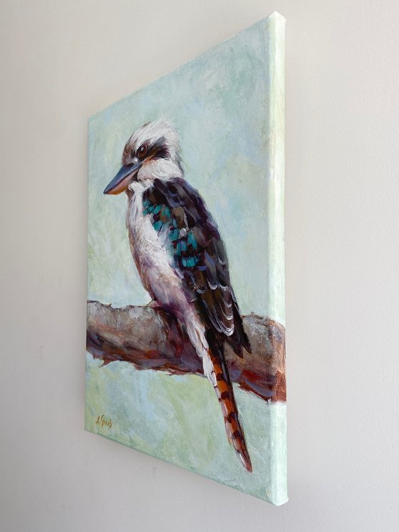 Kookaburra