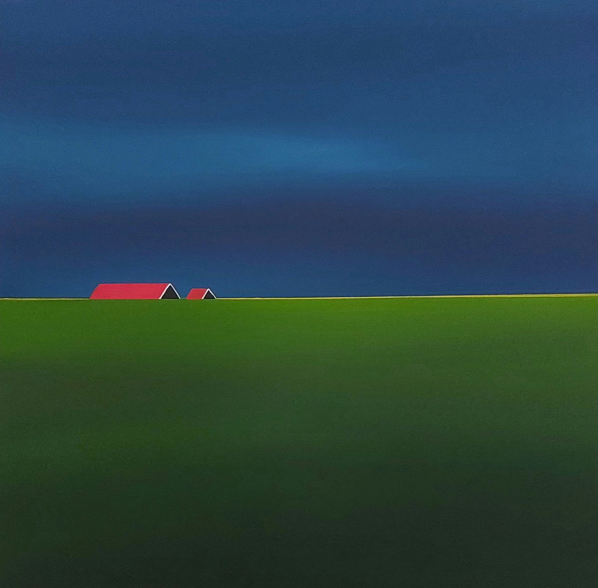 Mondriaan in the polder (Zeeland) by Nelly van Nieuwenhuijzen